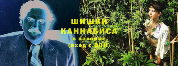 дурь Нея
