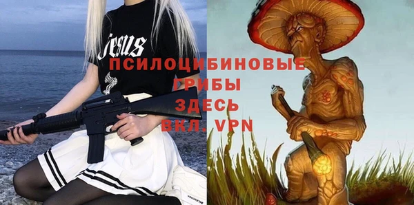 дурь Нея
