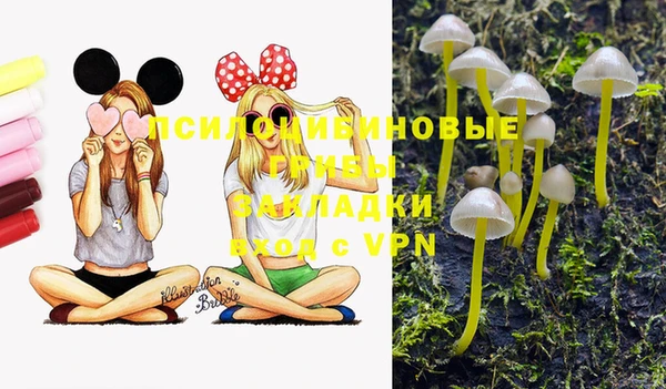 дурь Нея