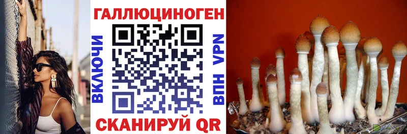 где купить   Мышкин  Псилоцибиновые грибы мухоморы 